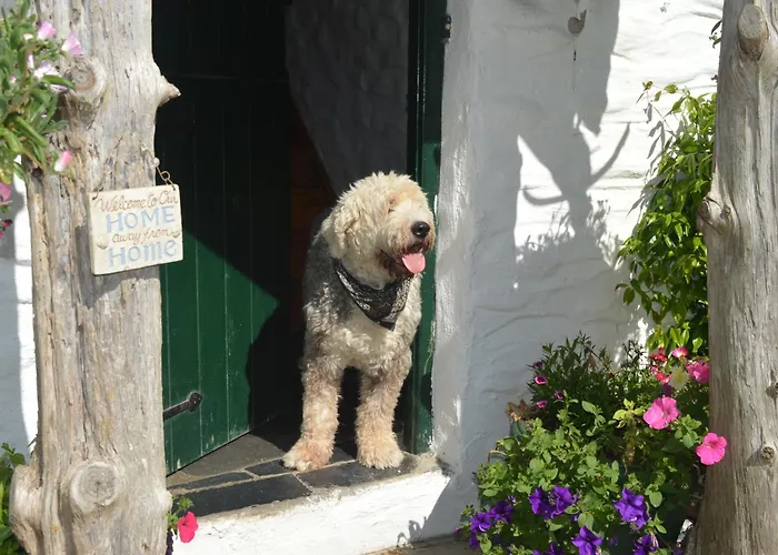 Lissyclearig Thatched Cottage Kenmare